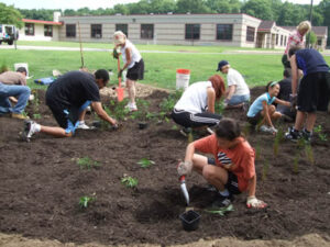 group of people planting rain garden