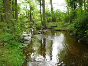 Upper Salem River Watershed
