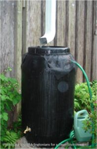A rain barrel collecting rain water.
